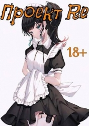 Проект Re. Том 5 (СИ)