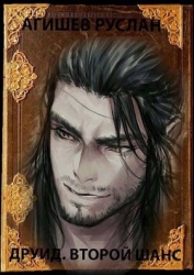 1941. Друид. Второй шанс (СИ)