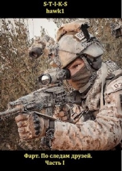 По следам друзей. Часть I (СИ)