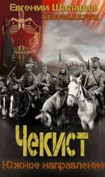 Южное направление (СИ)