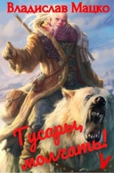 Гусары, молчать! Том 5 (СИ)