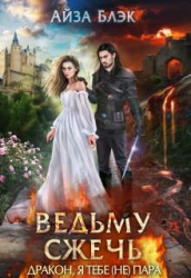 Ведьму сжечь, или Дракон, я тебе (не) пара (СИ)