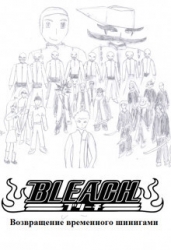 Bleach. Возвращение временного шинигами (СИ)
