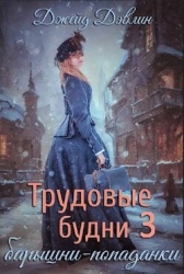 Трудовые будни барышни-попаданки 3 (СИ)