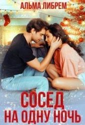 Сосед на одну ночь (СИ)