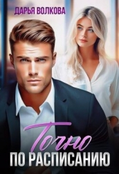 Точно по расписанию (СИ)