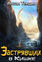 Застрявший в Кишке (СИ)