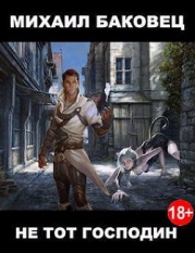 Не тот господин (СИ)