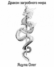 Дракон загробного мира (СИ)