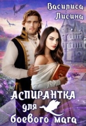 Аспирантка для боевого мага (СИ)