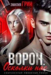 Ворон. Осколки нас (СИ)