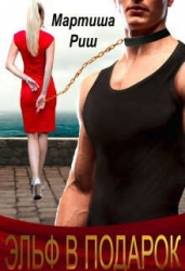 Эльф в подарок (СИ)