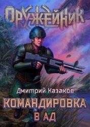 Командировка в ад (СИ)