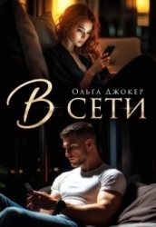 В сети (СИ)