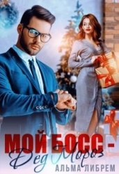 Мой босс - Дед Мороз (СИ)