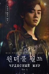 Чудесный мир. Том 1