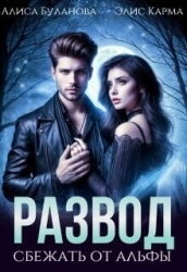 Развод. Сбежать от альфы (СИ)