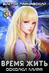 Время жить - 3. Осколки мира. Часть 3 (СИ)