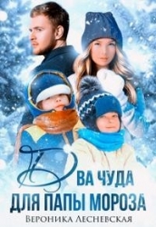Два чуда для Папы Мороза (СИ)
