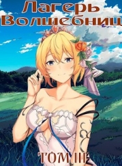 Лагерь волшебниц №208 Том III (СИ)