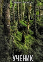 Ученик. Книга вторая (СИ)