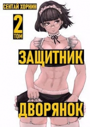 Защитник дворянок. Том II (СИ)